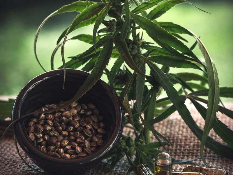 How Does CBD Deal with&nbsp;Stress?